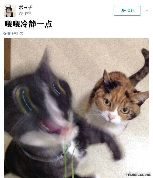 重回90年代靠卖小龙虾发家致富,90后卖鱼小伙年入千万