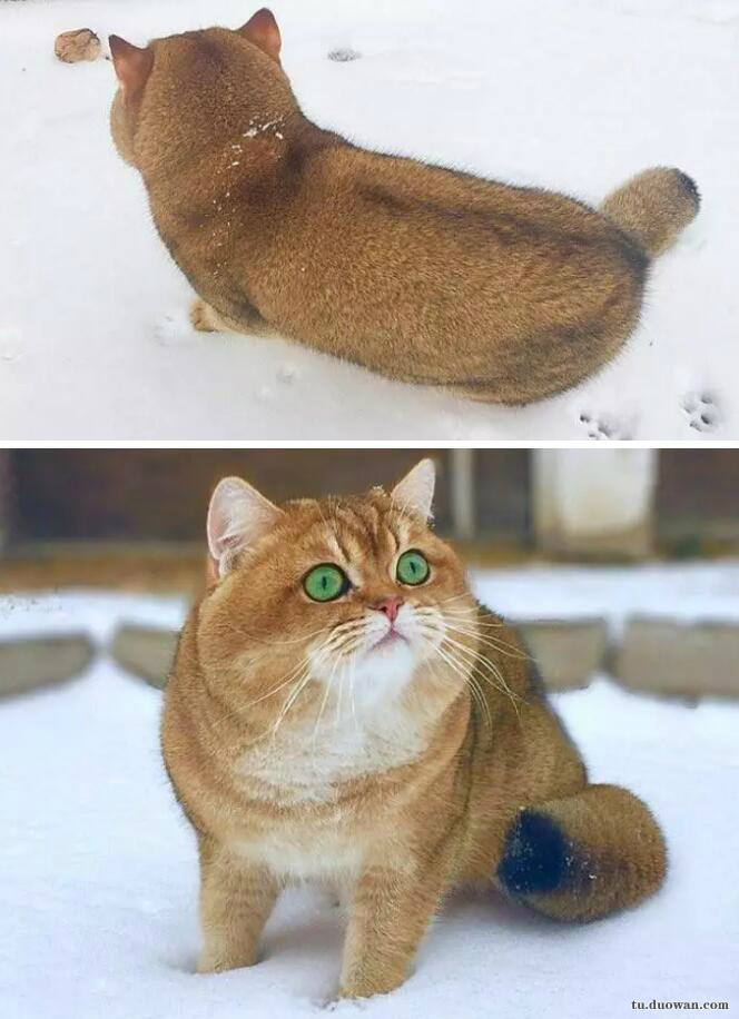 重回90年代靠卖小龙虾发家致富,90后卖鱼小伙年入千万