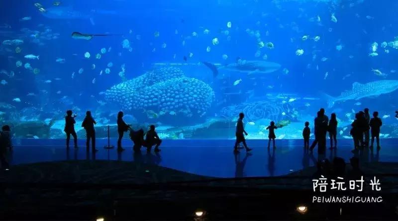 带娃游长隆最佳路线,带娃去哪个长隆玩