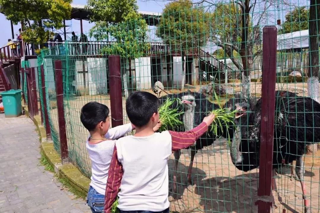 这里的紫薇和荷花美翻了！送你一个花样嘉年华，还有酷爽一夏！