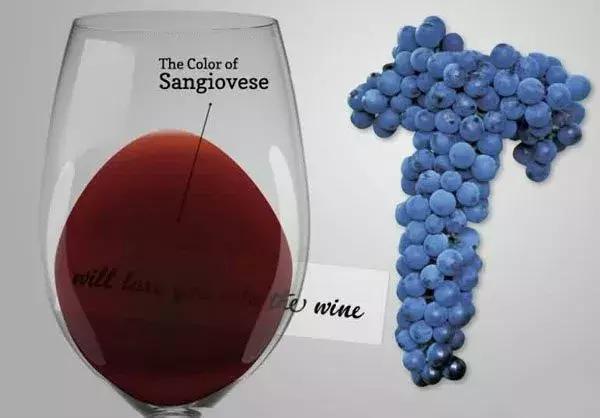 酿酒葡萄怎么吃,酿酒葡萄品种能吃吗