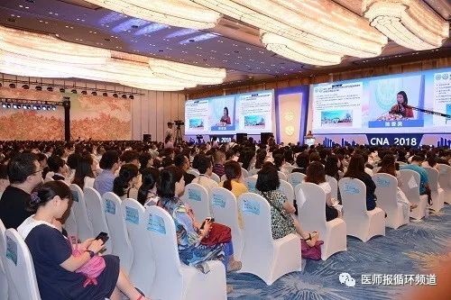 CNA2018|31年了,那个背影始终激励着陈香美院士