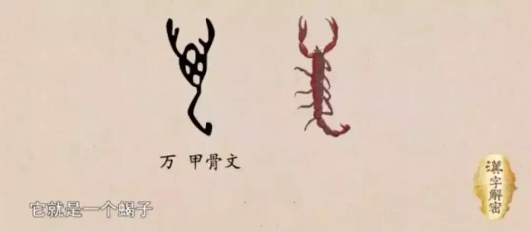 毛利战舞和维京战吼的区别,毛利战舞维京