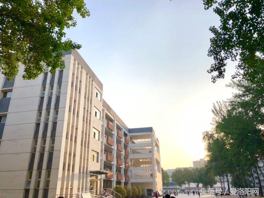 再见再见渡边淳一小说简介,再见原作