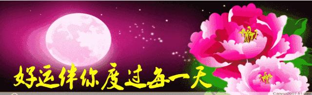 健康与生命的美文摘抄大全,人生感悟珍惜生命珍惜健康