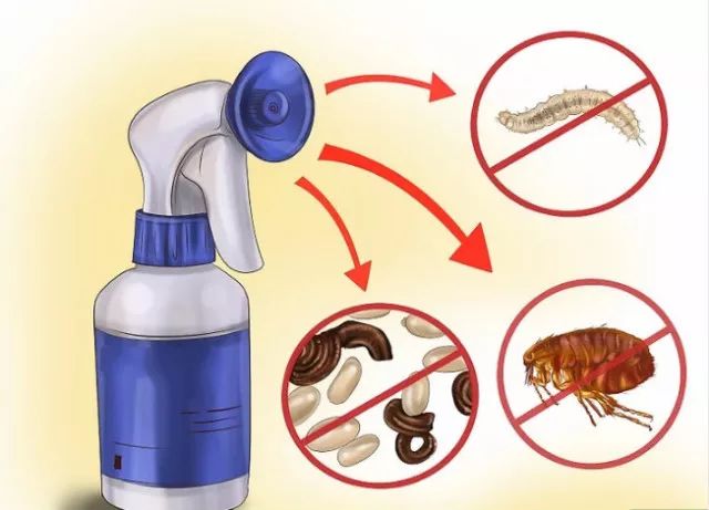 国产猫体内外驱虫,猫爱沃克体内外驱虫一体管用吗