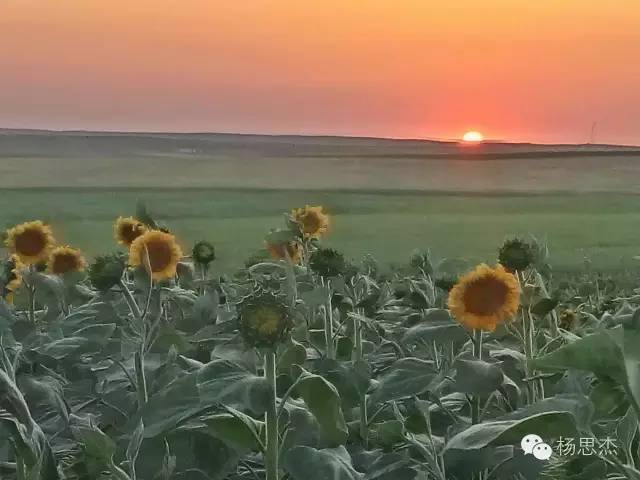 适合旅行的12首音乐,推荐10首适合在旅行途中听的歌曲