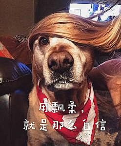 鏃ユ湰褰╁闃叉檼鎺ㄨ崘,鏃ユ湰褰╁闃叉檼鎺ㄨ崘鍝佺墝澶у叏