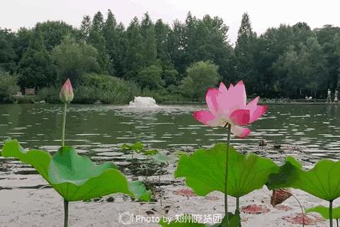 四年胖二十斤,四年胖20斤