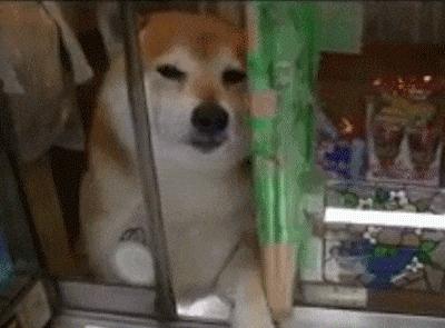 又便宜又好用的面膜推荐,最好用又便宜的面膜推荐