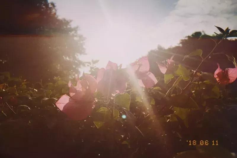 nomo拍立得,nomo拍立得教程