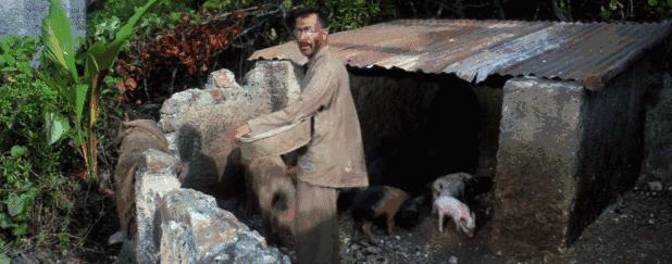 十部必看的越狱大片解说,最过瘾的十部越狱片