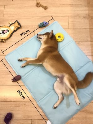 冰垫真的有降温效果吗,夏季冰凉垫降温神器