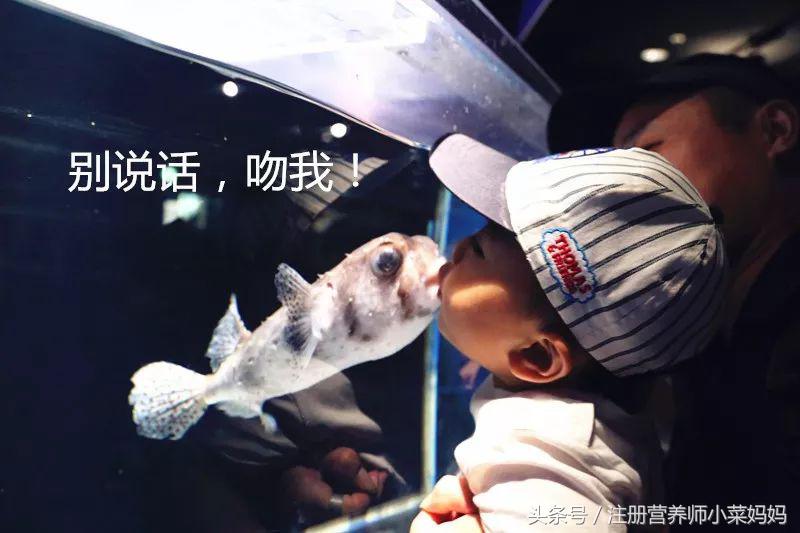 第一次带娃出国就选这！攻略都准备好啦