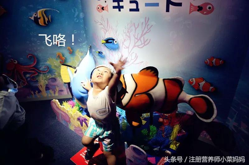 第一次带娃出国就选这！攻略都准备好啦