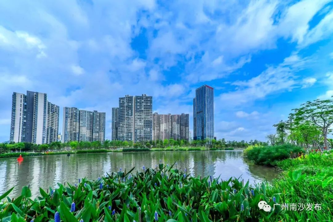“南方+”有南沙频道啦！南沙区与南方报业传媒集团启动战略合作