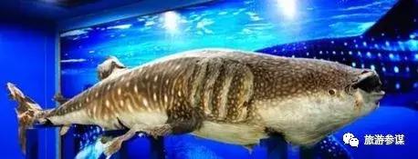 吉林省水乐园,吉林适合夏天去的游乐场