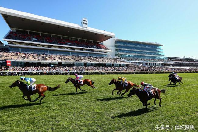 天津体育学院课程建设,天津体育学院马术赛