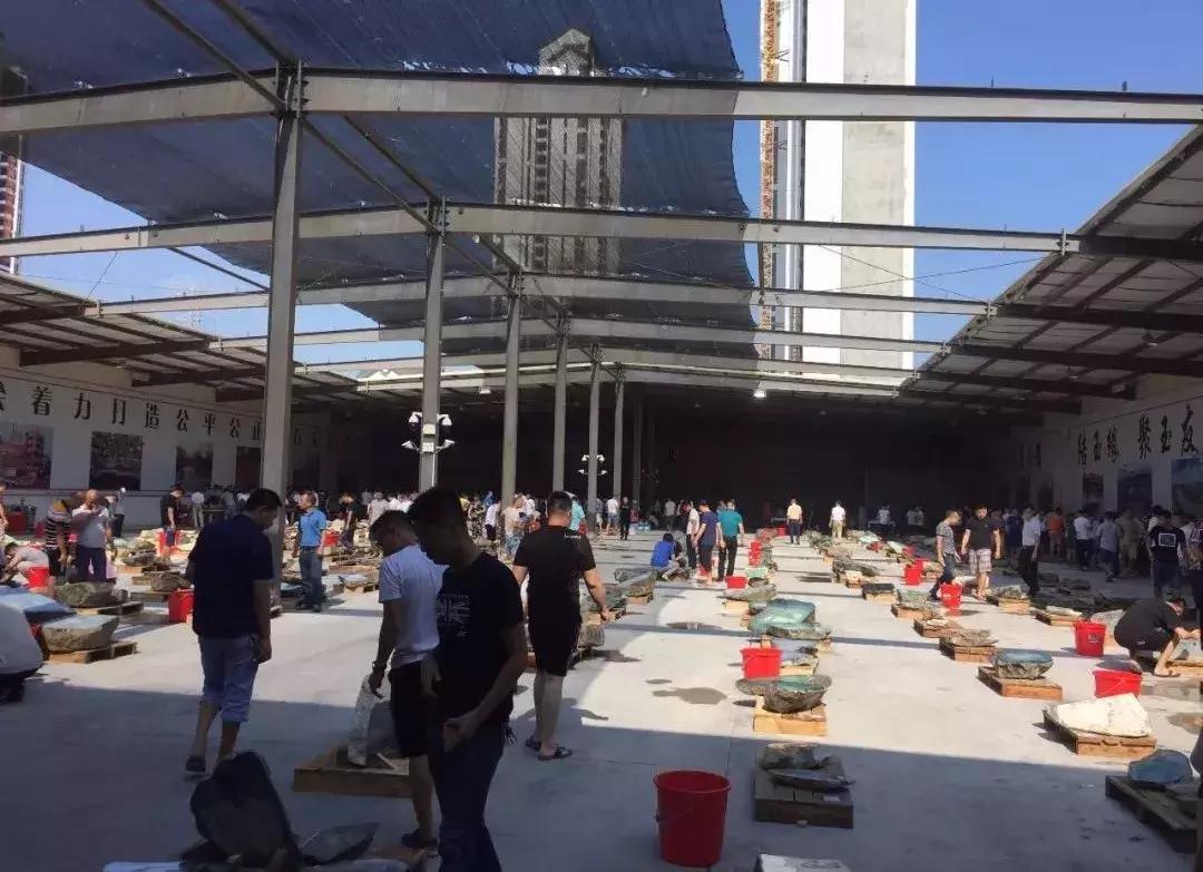 鍑酣缈＄繝鍏洏2023,鎻槼鍑酣缈＄繝鍏洏鐩存挱