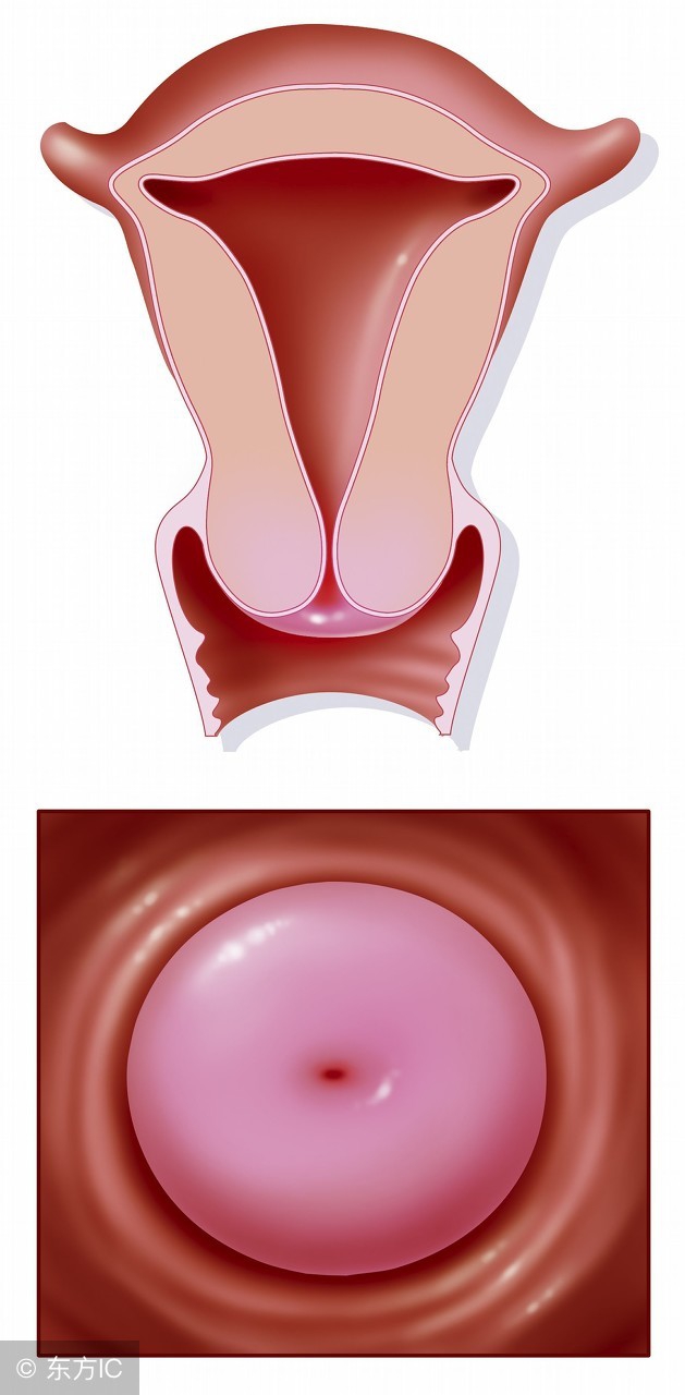 备孕干货孕前检查,备孕困难排卵期怀孕知识分享