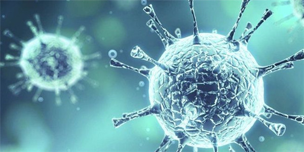 读懂体检报告|HPV阳性就是患了宫颈癌吗?