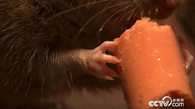 大学毕业干什么月入过万,大学毕业干啥好