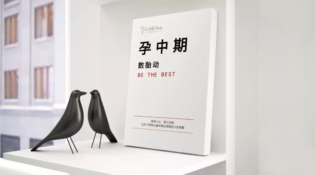 手把手正确教你数胎动,第十七周胎动