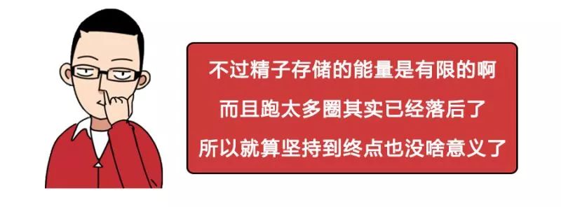 一直以为自己是跑得最快的那颗精子,原来并不是……