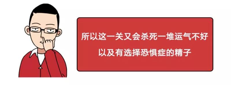 一直以为自己是跑得最快的那颗精子,原来并不是……
