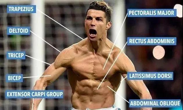 克里斯蒂亚诺罗纳尔多世界第一,克里斯蒂罗纳尔多多斯桑托斯