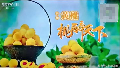 要闻速览：市政协主席蔡溪到天元区政协调研丨国网株洲天元供电公司成立