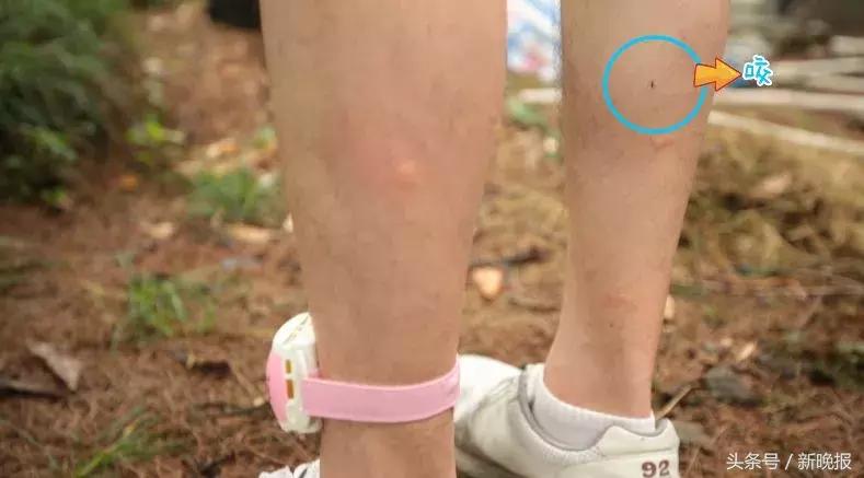 真实有效的驱蚊产品,宝宝出门用的驱蚊产品测评