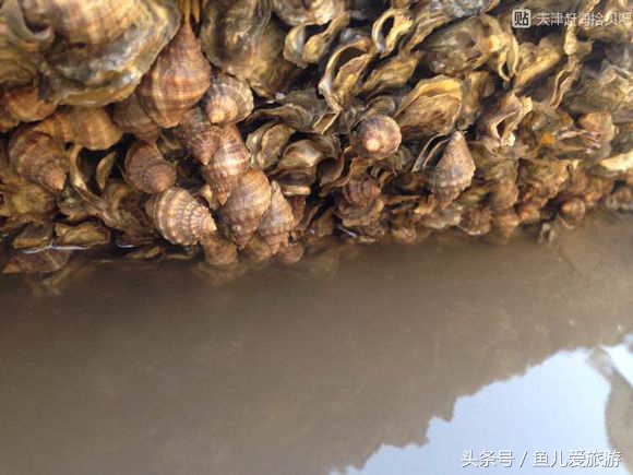 东疆港和北戴河哪个好玩,两宝妈带孩子自驾游