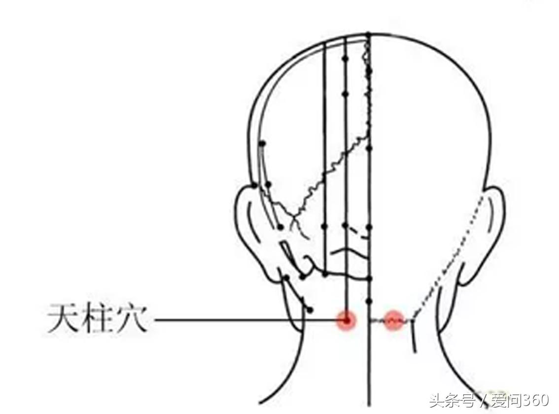 按什么穴位可以提高人的记忆,快速记忆人体穴位的口诀