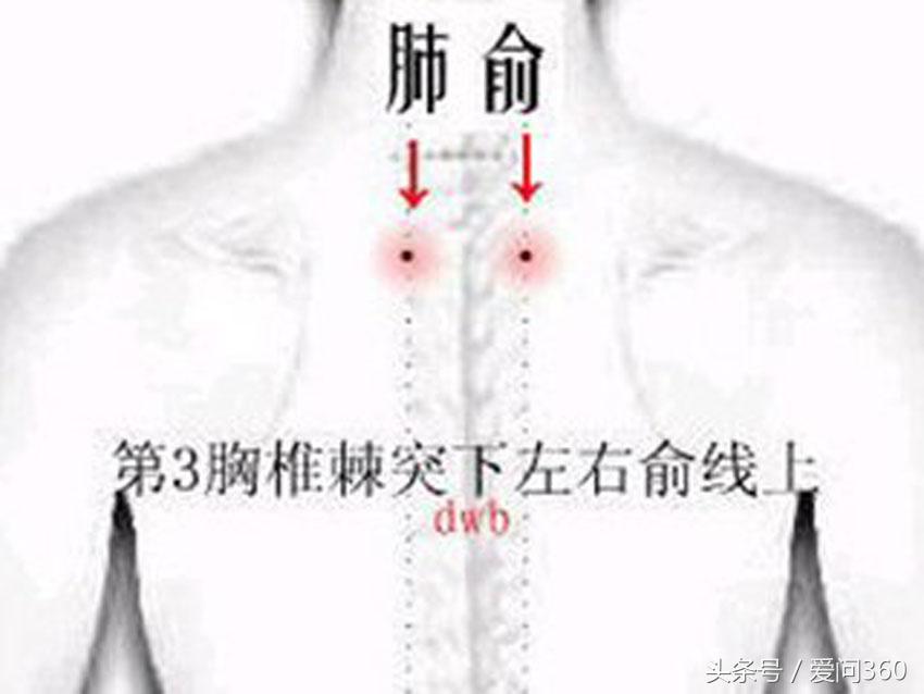 用于咳血的特效穴位,哪些穴位对肺好止咳