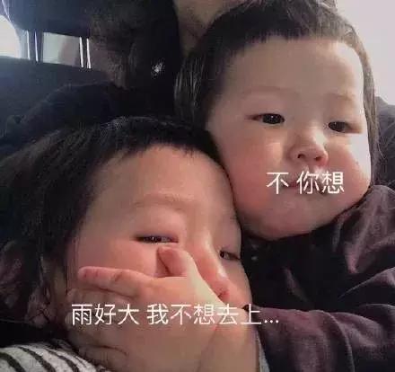 成都诺亚方舟最新新闻,成都诺亚方舟2020