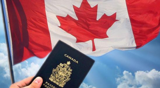 代购风险,代购如何避免踩坑