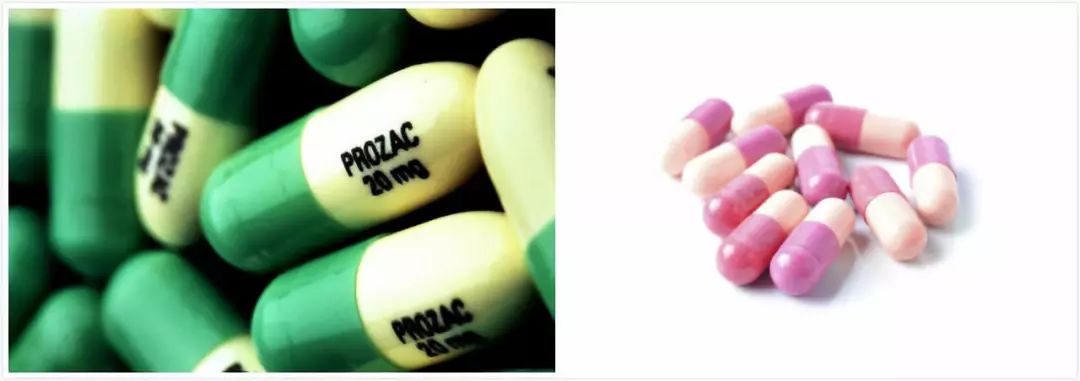 澶╀环鏂拌嵂鏄湡鐨勫悧,澶╀环鑽笉鍊煎緱鍚屾儏