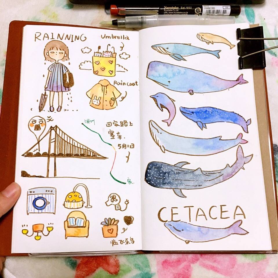 让人一眼惊艳的手绘画,美得让人惊艳的画手绘