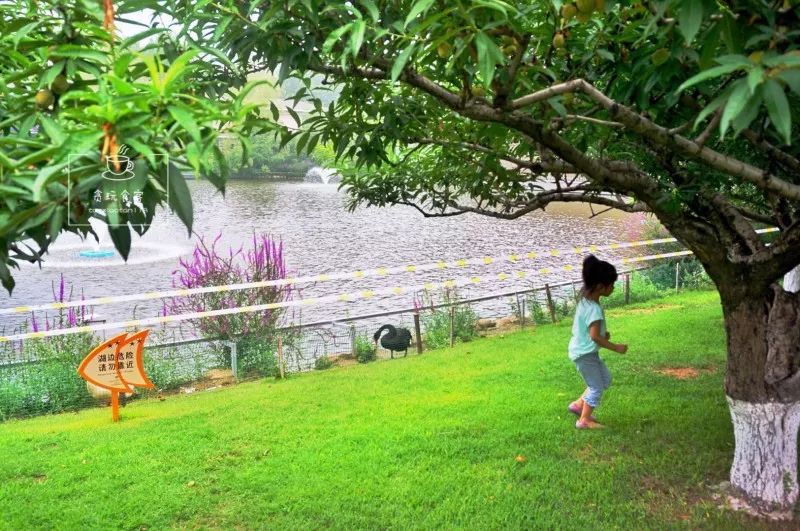 北京春晖园温泉度假酒店预订价格,春晖园温泉度假酒店门市价格多少