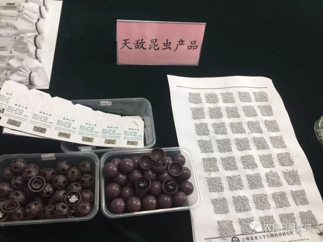 赤眼蜂防治螟虫,赤眼蜂的防治技术