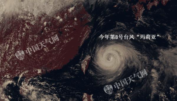 玛利亚台风最新消息,玛利亚的暴风雨