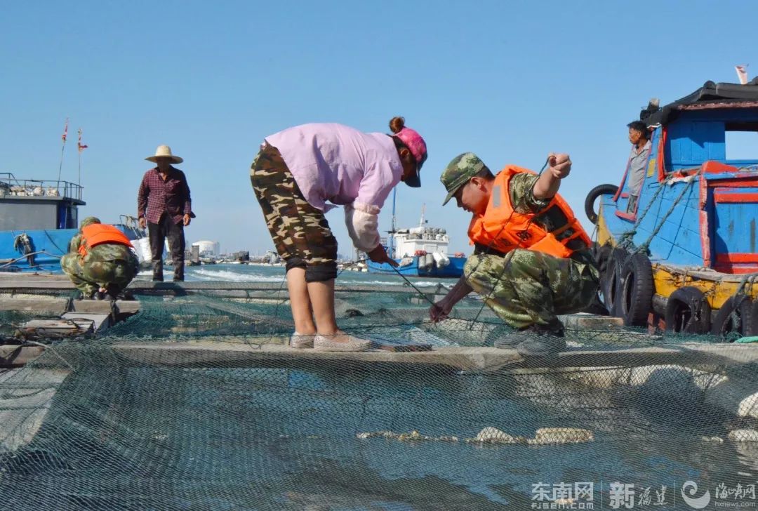 玛利亚台风最新消息,玛利亚的暴风雨