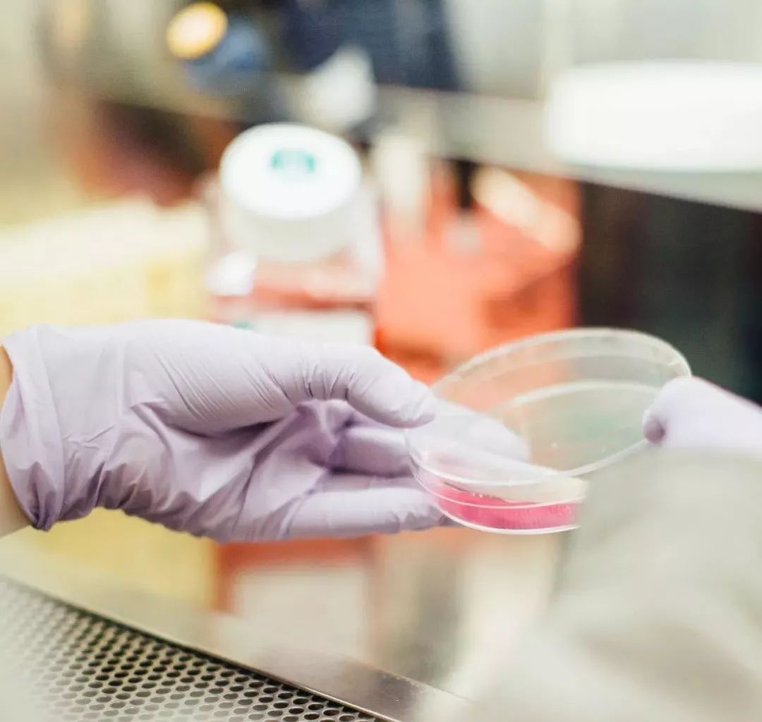 我不是药神你能保证自己不得病吗,我不是药神房子都吃没了台词