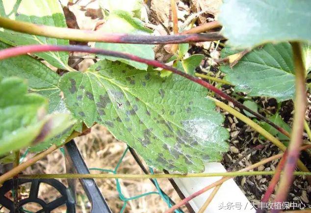 做到这7点疾病远离你,做到这7点让心血管健康一辈子