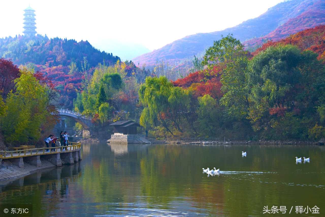 踢球每一步都有假动作，但那不是赢球的本质