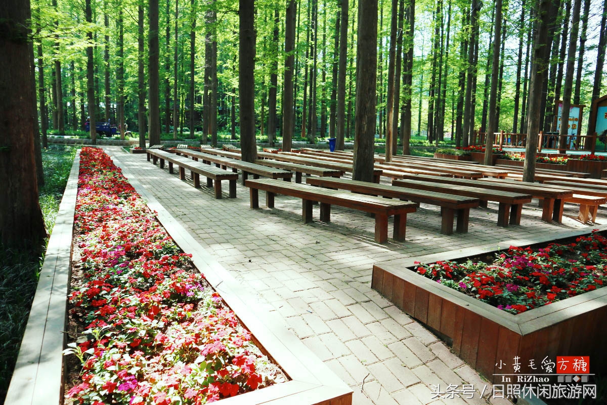 日照浴场海鲜攻略,日照海滨浴场旅游攻略