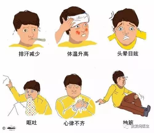 酷暑天中暑了咋办,狗中暑咋办