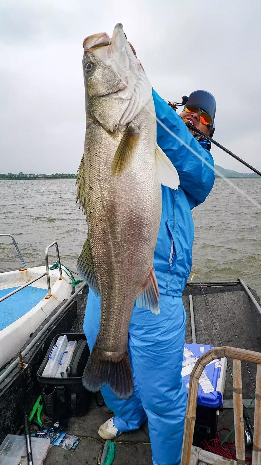 轻量怪物斗巨鲈｜追踪胡陈港水库的怪物2年终得一见