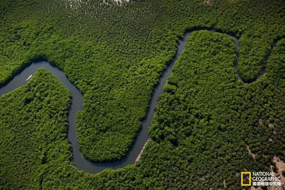 遗世独立，提维群岛｜我敬你是片世外天堂！